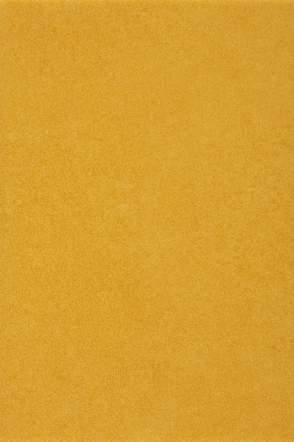 0952 MIAMI SOLEIL