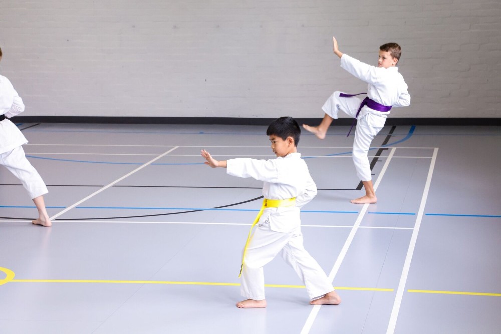 Taraflex? Evolution SL